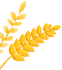 05.png
