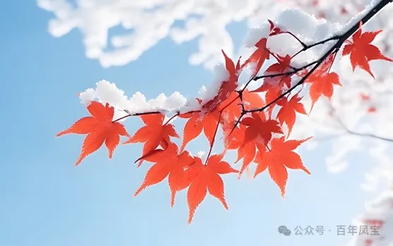二十四节气|霜降