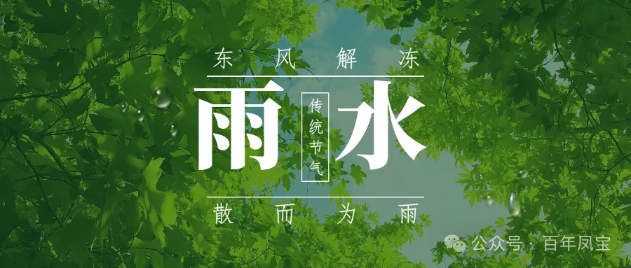 二十四节气｜雨水